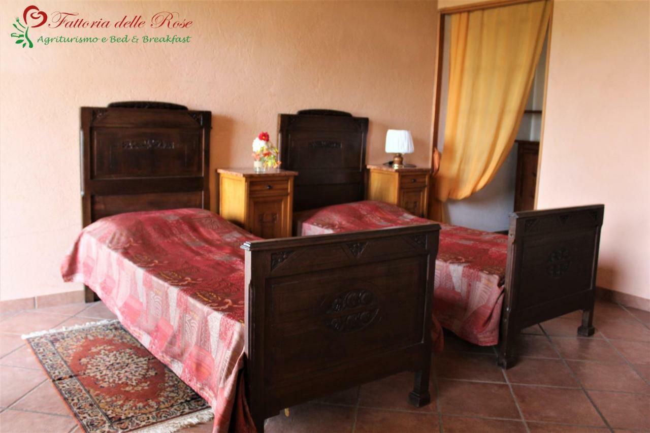 Salussola Fattoria Delle Roseヴィラ エクステリア 写真