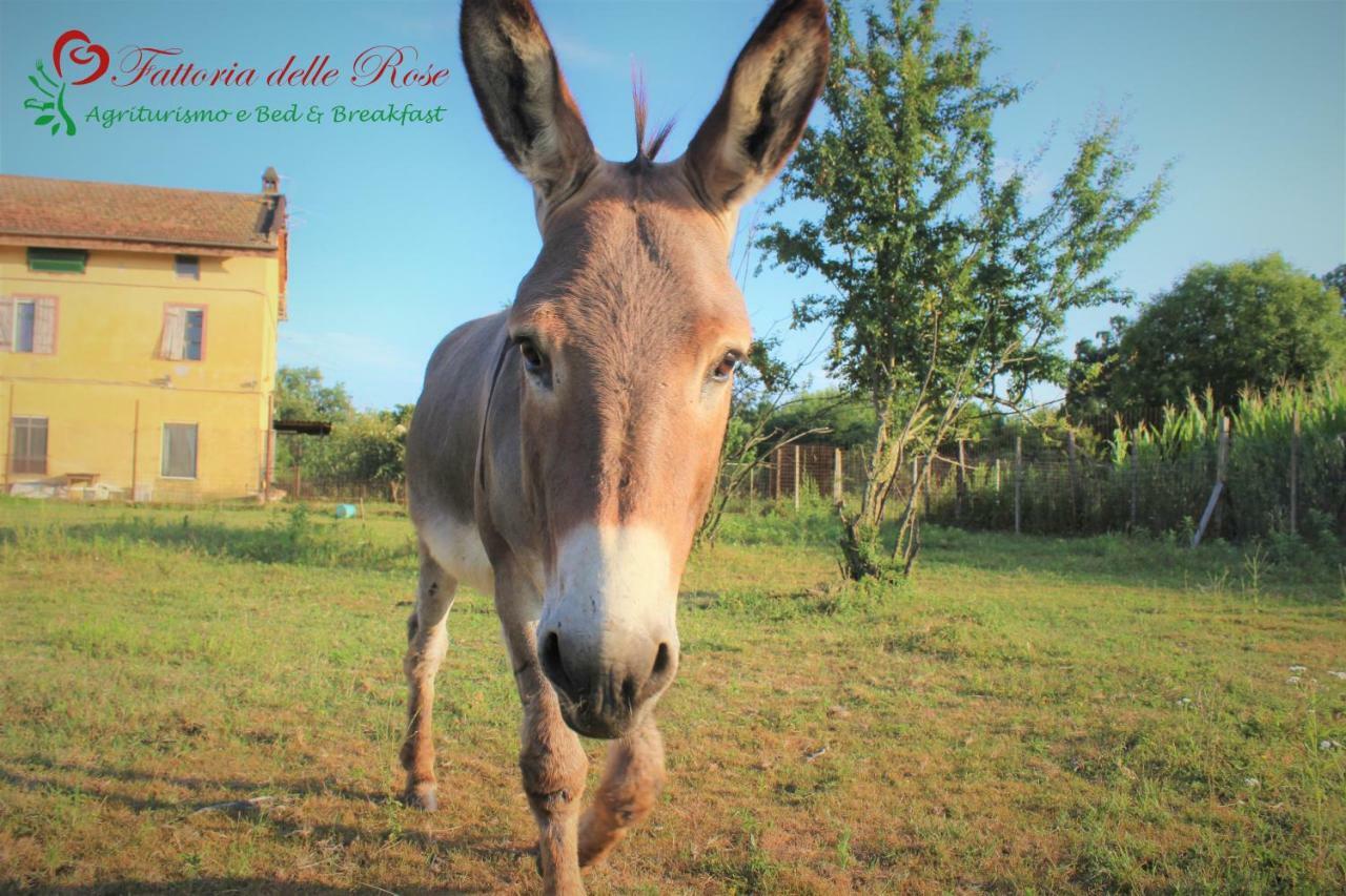 Salussola Fattoria Delle Roseヴィラ エクステリア 写真