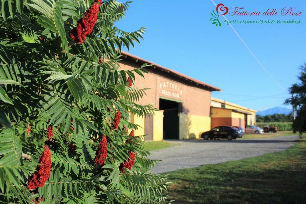 Salussola Fattoria Delle Roseヴィラ エクステリア 写真