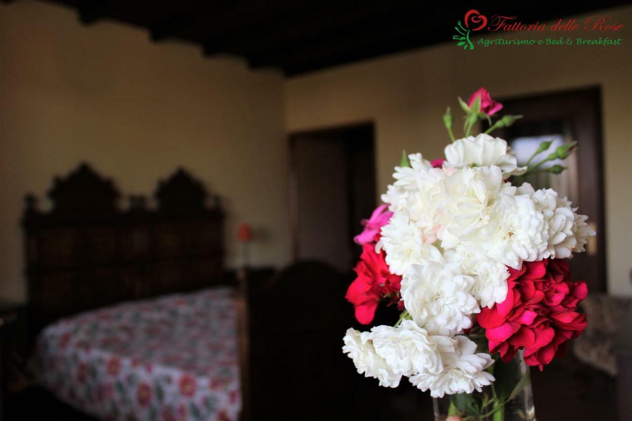 Salussola Fattoria Delle Roseヴィラ エクステリア 写真